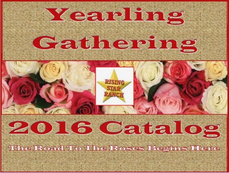 2016-yearling-gathering-cover