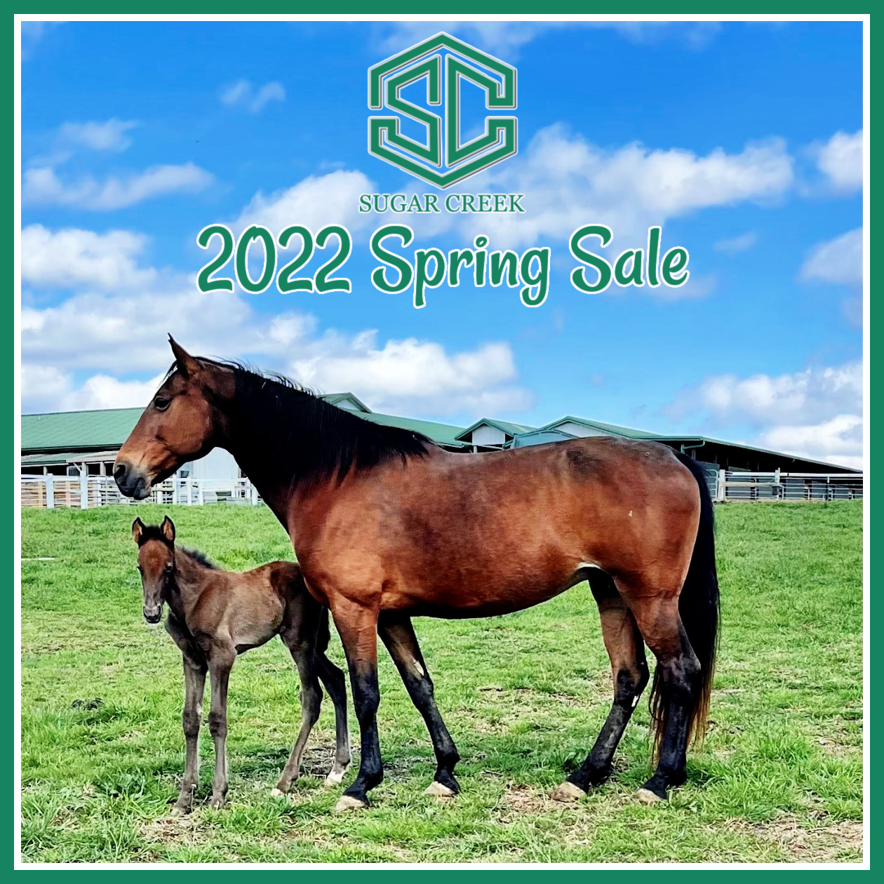 2022 Sugar Creek Spring Sale Sugar Creek