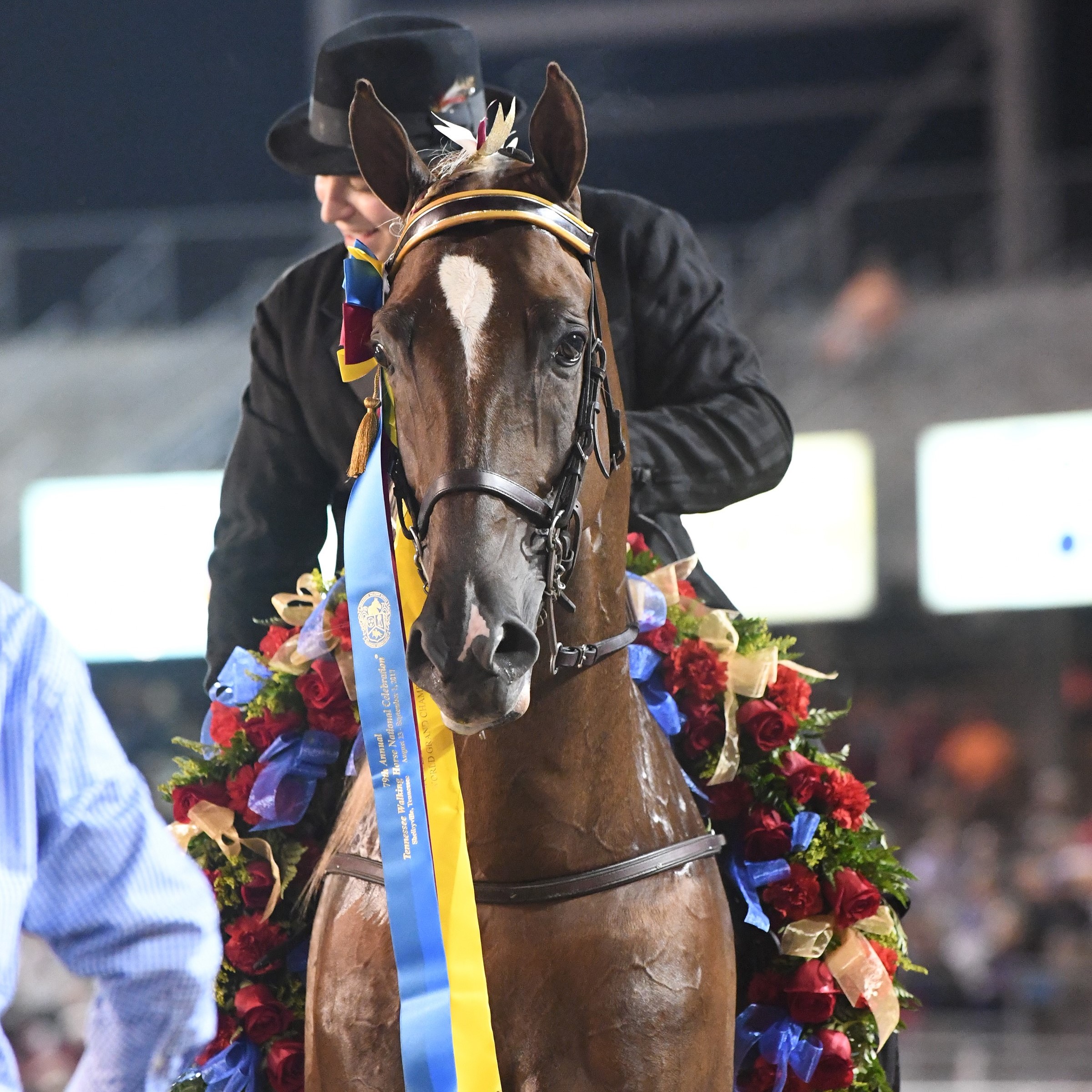 MINOR ORDEAL - Sugar Creek