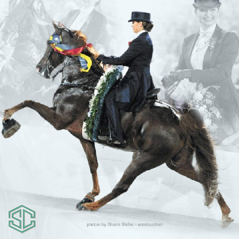 z122) JOSE’S DULCE 20411389 One of the greatest show mares, 2 times a