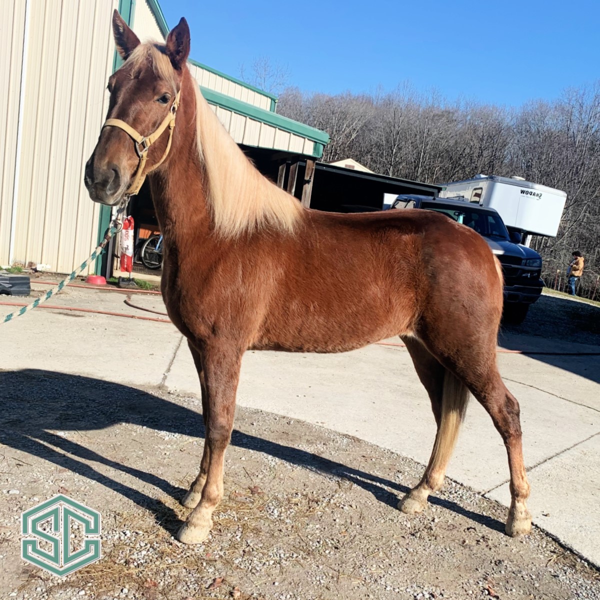 when your daughter became the star of a scandalous porn ring with her dad