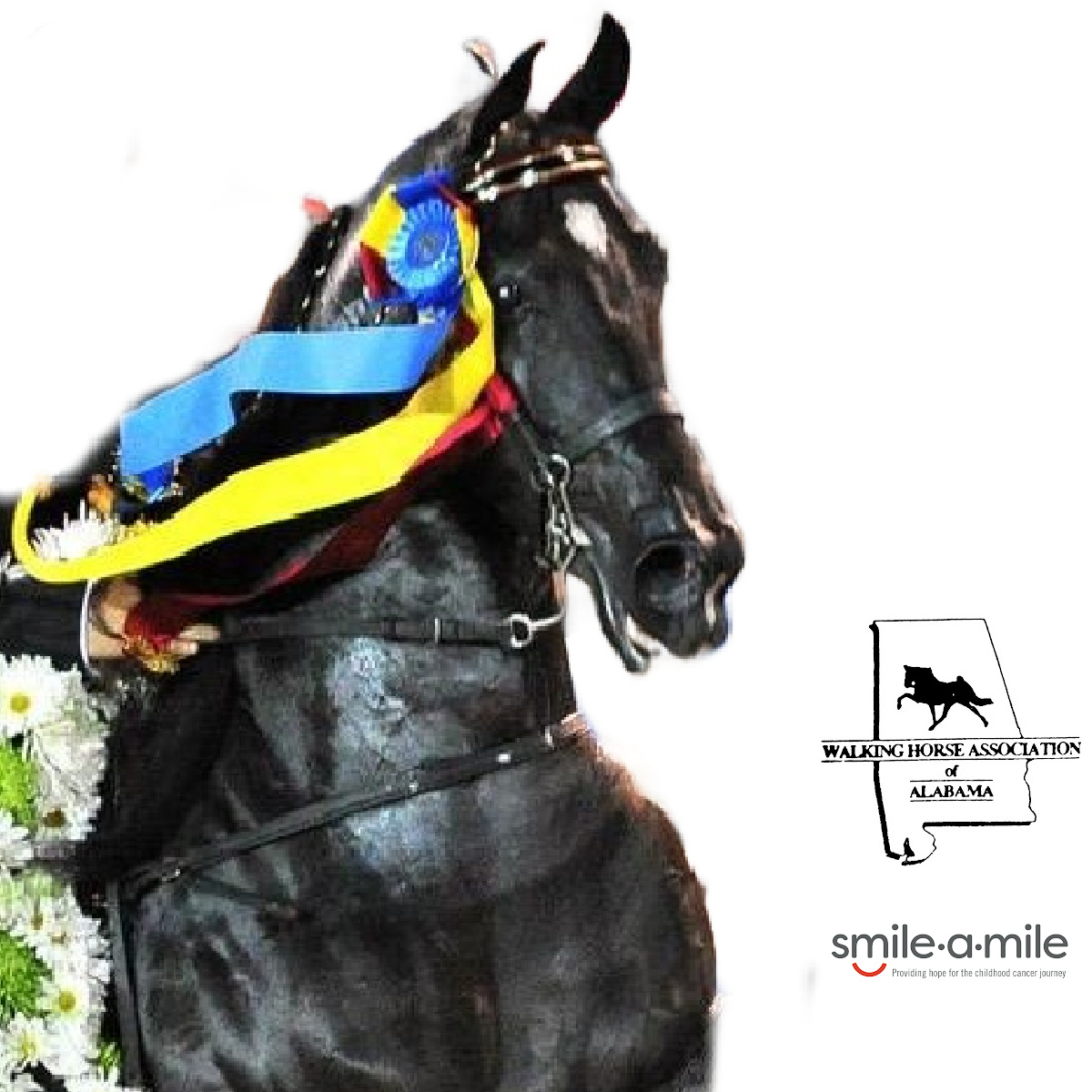 SF37) A Stallion Fee to Jose’ It Ain’t So to be auctioned on behalf of